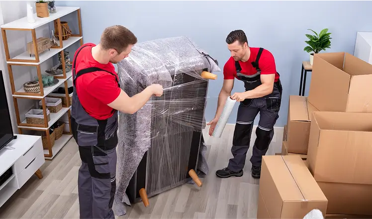 Use Protective Coverings